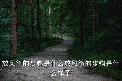 放風箏的步驟是什么放風箏的步驟是什么樣子