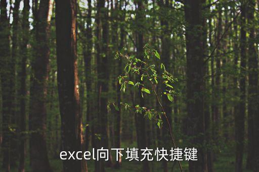 excel向下填充快捷鍵