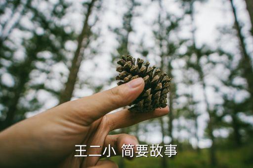 王二小 簡要故事