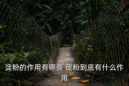 淀粉有什么作用，淀粉的作用有哪些 淀粉到底有什么作用