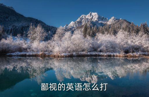 蔑視英語，鄙視的英語怎么打