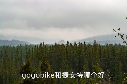 gogobike，12寸gogobike多重