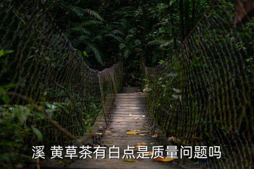 溪黃草,黃連草可做泥鰍湯一周喝一兩次