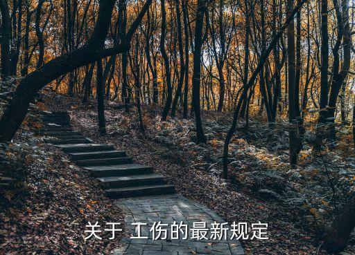 新工傷保險條例,企業應按時繳納工傷保險費員工個人無需繳納