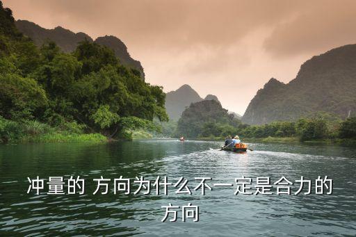 沖量的方向,重力與輕力的區別
