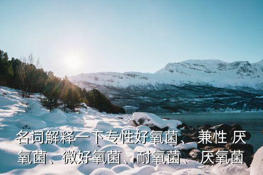名詞解釋一下專性好氧菌、 兼性 厭氧菌、微好氧菌、耐氧菌、 厭氧菌