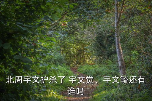 北周宇文護殺了 宇文覺、宇文毓還有誰嗎