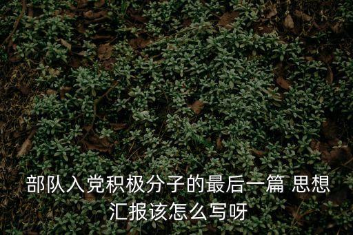黨員思想匯報部隊,入黨后先填各種材料總結工作計劃