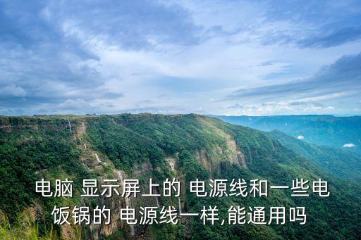  電腦 顯示屏上的 電源線和一些電飯鍋的 電源線一樣,能通用嗎
