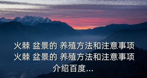 火棘盆景養(yǎng)殖方法,春夏秋冬四季可換盆換土火棘最怕干旱