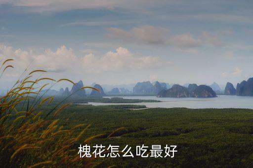  槐花怎么吃最好