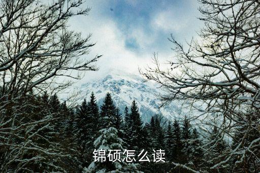 碩讀音,魏朔名字含義:有能力擔當作為治理國家
