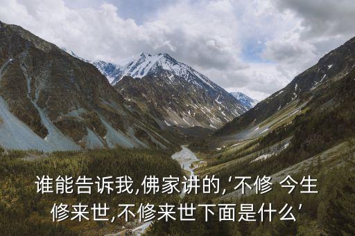 誰(shuí)能告訴我,佛家講的,‘不修 今生修來(lái)世,不修來(lái)世下面是什么’