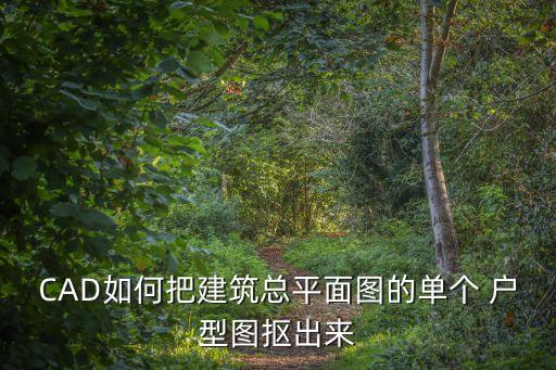 cad戶型圖,戶型抽樣計票系統出現錯誤