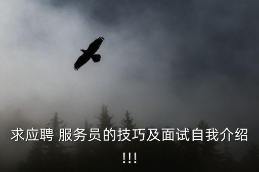 求應(yīng)聘 服務(wù)員的技巧及面試自我介紹!!!