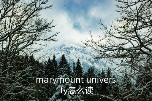 university怎么讀,為什么不用華語拼音?