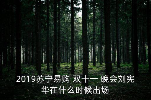2019蘇寧易購 雙十一 晚會劉憲華在什么時候出場