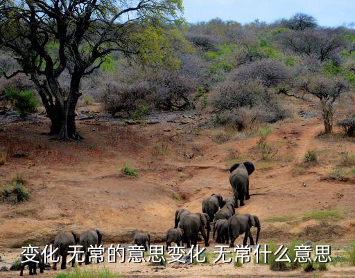 變化 無常的意思變化 無常什么意思