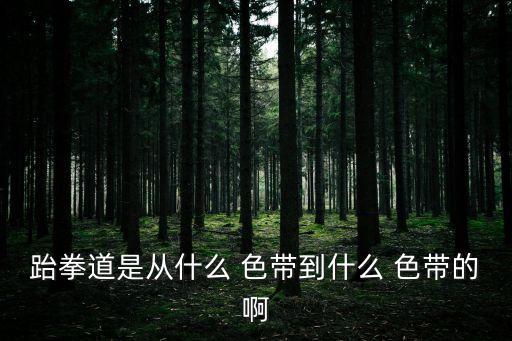 三級(jí)色帶,中國(guó)推廣跆拳道和截拳道