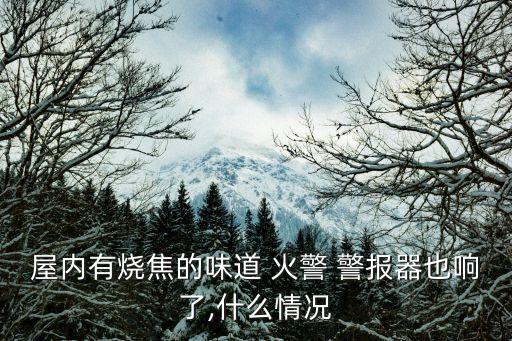 屋內有燒焦的味道 火警 警報器也響了,什么情況