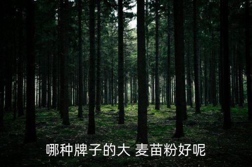 大麥苗粉,青汁大麥苗粉營養(yǎng)豐富選用有機大麥嫩苗
