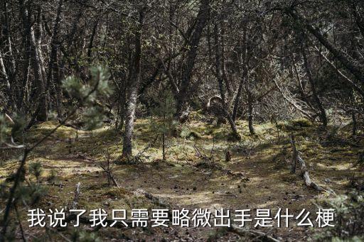 我說了我只需要略微出手是什么梗