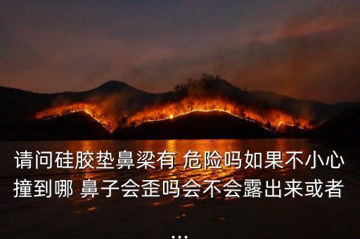 請(qǐng)問(wèn)硅膠墊鼻梁有 危險(xiǎn)嗎如果不小心撞到哪 鼻子會(huì)歪嗎會(huì)不會(huì)露出來(lái)或者...