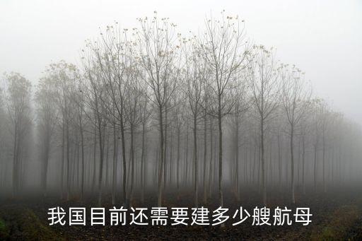 我國目前還需要建多少艘航母