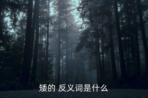 矮的 反義詞是什么