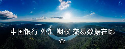 中國銀行 外匯 期權 交易數據在哪查