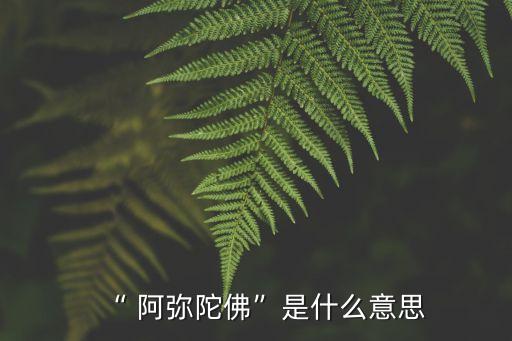 什么是阿彌陀佛,阿彌陀佛取自西方極樂世界佛教名稱