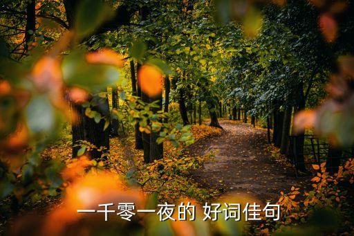 一千零一夜好詞好句,這里有哪些好詞好句!