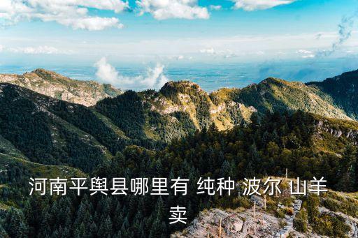 純種波爾山羊,河南省平輿縣波爾山羊農(nóng)場(chǎng)出現(xiàn)純種山羊