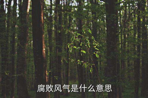 腐敗是什么意思,李志文:法律監管不力是腐敗主要原因之一