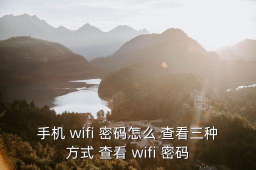 怎么查看wifi密碼,如何查看手機wifi密碼?步驟如下