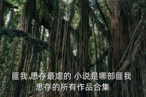 匪我思存的全部小說,土匪me思存最新全集txt下載鏈接