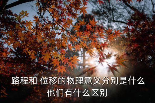  路程和 位移的物理意義分別是什么他們有什么區別