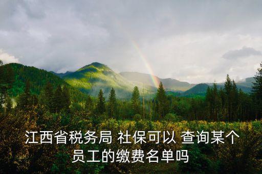  江西省稅務(wù)局 社保可以 查詢某個員工的繳費名單嗎