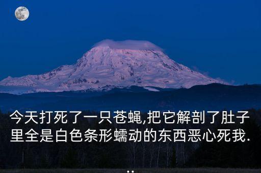今天打死了一只蒼蠅,把它解剖了肚子里全是白色條形蠕動的東西惡心死我...