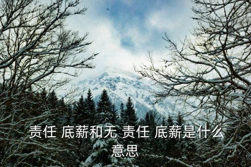 責任底薪,沒完成任務指標可拿到無-1底薪薪金法律分析