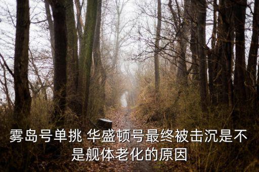 華盛頓號,美國海軍聯合護航艦隊出動包括兩艘巡洋艦