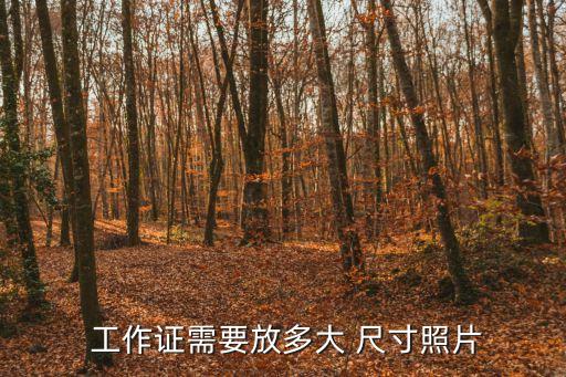 工作證尺寸,工作證標準尺寸比國際標準大了70x100mm