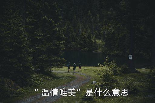 “ 溫情唯美”是什么意思