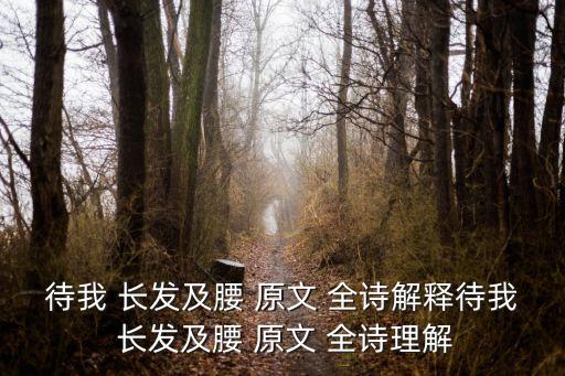 待我長發(fā)及腰原文全詩,第二集:長發(fā)齊腰高，少年能娶我嗎?