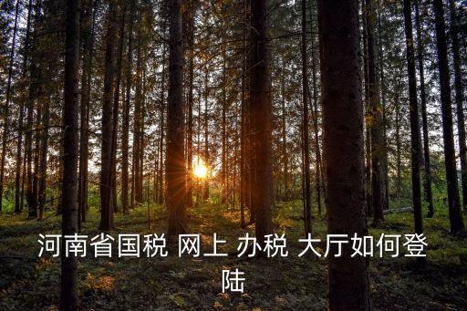 河南省國稅 網上 辦稅 大廳如何登陸
