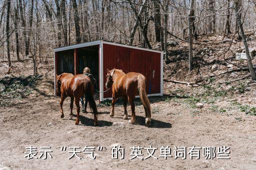 霧的英文,霾和霧的區別在于濕度不大霧中相對濕度飽和