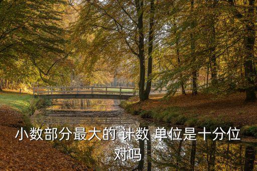 最大的計(jì)數(shù)單位,大數(shù)部分的計(jì)算單位是什么?