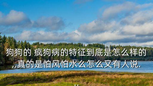 狗狗的 瘋狗病的特征到底是怎么樣的,,真的是怕風(fēng)怕水么怎么又有人說...