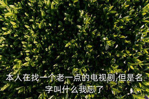本人在找一個老一點的電視劇,但是名字叫什么我忘了