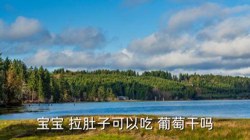 寶寶 拉肚子可以吃 葡萄干嗎
